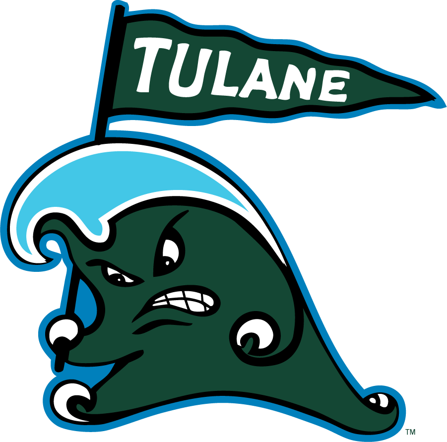 Tulane Green Wave 2016-2017 Secondary Logo iron on transfers for clothing